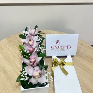 Caja de orquideas